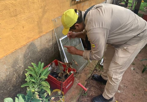 Impulsan minga ambiental en varios distritos de Itapúa