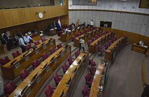Ley de carrera civil: levantan sesión del Senado por falta de quorum y convocan a extra - Política - ABC Color