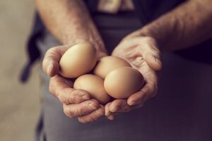 El huevo, el superalimento redescubierto en 2024