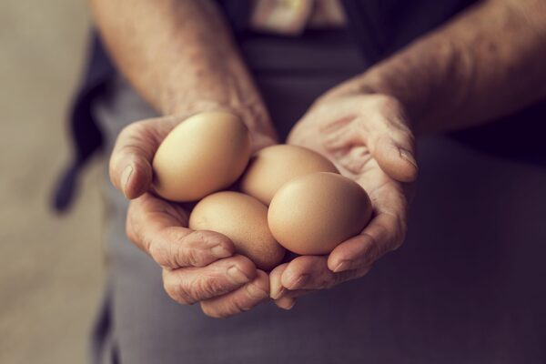 El huevo, el superalimento redescubierto en 2024