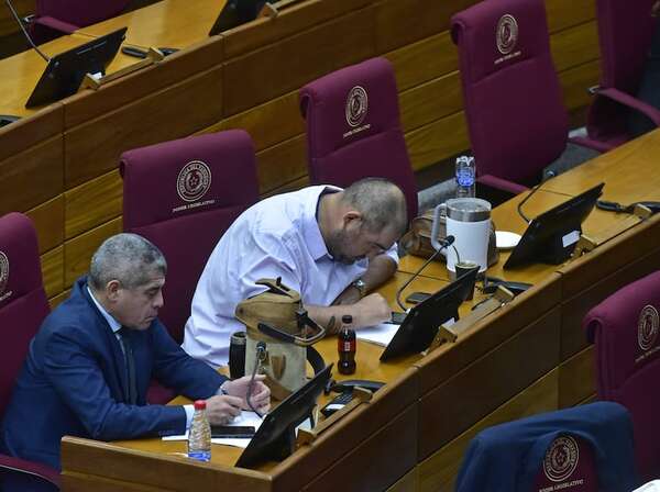 Se olvidaron y, fuera de plazo, Diputados tratará extender mandato de la comisión “garrote” - Política - ABC Color