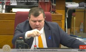 Senado queda sin cuórum por desorden tras discusión entre Dionisio y Celeste