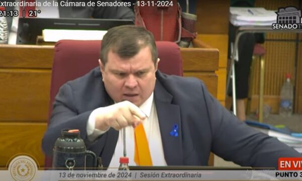 Senado queda sin cuórum por desorden tras discusión entre Dionisio y Celeste