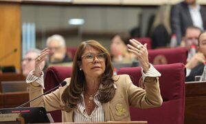 Desorden en el Senado: Celeste acusó a Dionisio de discriminar y este la mandó a callar