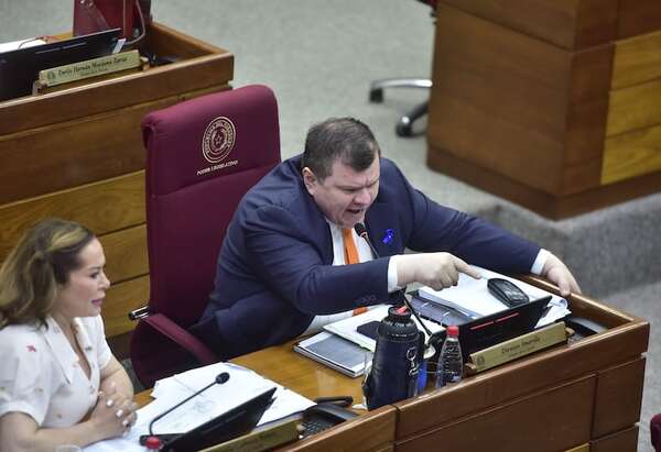 Video: senadores se gritan “gordo puto” y “coimera”, y levantan la sesión por desorden - Política - ABC Color