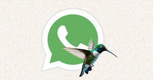 ¿Has probado el “modo colibrí” en WhatsApp? Sigue estos sencillos pasos para aplicarlo » San Lorenzo PY