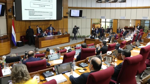 Senado amplía plazo de la CBI para investigar a oenegés