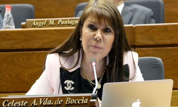 Senado interrumpe sesión tras acalorado enfrentamiento entre Dionisio Amarilla y Celeste Amarilla - OviedoPress