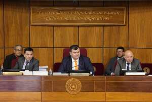 Otorgan 60 días más a la Comisión Garrote para seguir con “aprietes”  - Política - ABC Color