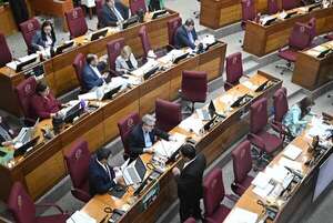 PGN 2025: Diputados remitió el proyecto al Senado - Economía - ABC Color