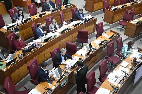 PGN 2025: Diputados remitió el proyecto al Senado - Economía - ABC Color