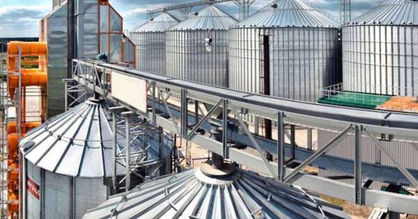 La Nación / Industrias aceiteras cerrarán el año con procesamiento del 25 % de la producción