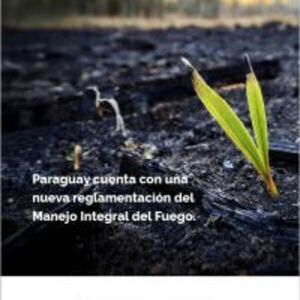 Gobierno del Paraguay anuncia implementación de nueva reglamentación de la Ley de Manejo Integral del Fuego :: Presidencia de la República del Paraguay