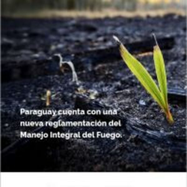 Gobierno del Paraguay anuncia implementación de nueva reglamentación de la Ley de Manejo Integral del Fuego :: Presidencia de la República del Paraguay