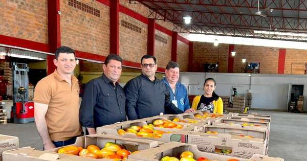 La Nación / Alto Paraná exporta por primera vez tomates