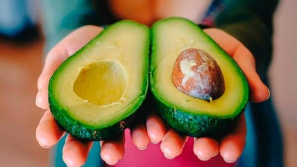 Discusión sobre el aguacate: ¿fruta o verdura?