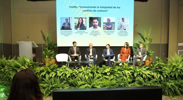 Paraguay busca transformar su matriz productiva a través del sector forestal