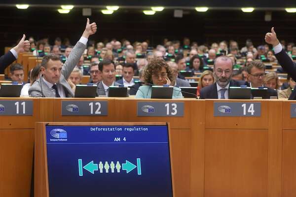 Parlamento europeo posterga entrada en vigor de la ley “antideforestación” - Mundo - ABC Color