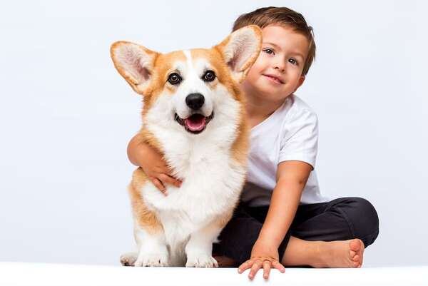 Este es el rol emocional que cumplen las mascotas en un hogar con niños y adultos mayores - Mascotas - ABC Color