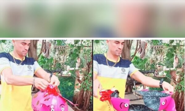 (VIDEO)Furor por “chanchoparrilla” en Luquelandia