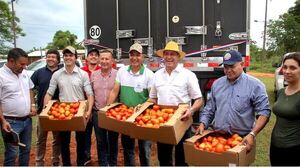 EXPORTACIÓN DE TOMATES A ARGENTINA SUPERA EL MILLÓN DE KILOS - Itapúa Noticias