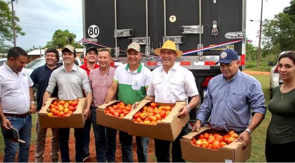 EXPORTACIÓN DE TOMATES A ARGENTINA SUPERA EL MILLÓN DE KILOS - Itapúa Noticias