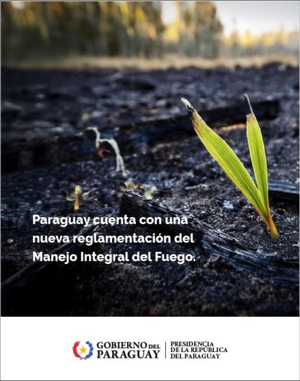 Paraguay cuenta con una nueva reglamentación para el “Manejo Integral del Fuego” • PARAGUAY TV