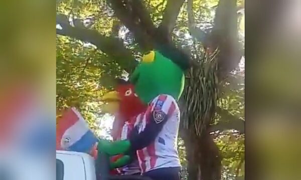(VIDEO) “Poli-animales” pasearon en CDE como previa del partido de la Albirroja y Black Friday