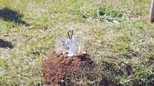 Doña no quiere que la cruz de un fallecido esté frente a su vivienda