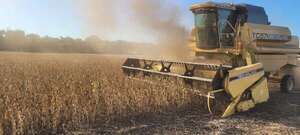 Récord en envíos de soja: auguran suba en las estimaciones de producción total para 2023/24 - Economía - ABC Color