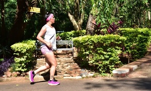 Corrida “Ganemos a la Diabetes 5K”: Unidos por la salud en el Mes de la Diabetes - OviedoPress