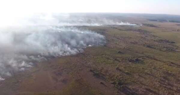 Diario HOY | Peña reglamenta ley que crea el Sistema de Monitoreo de Incendios Forestales