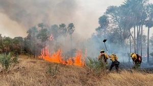 Anuncian implementación de nueva reglamentación de la Ley de Manejo Integral del Fuego