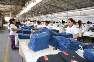 Tasa de desempleo disminuyó de 6% a 5,3% entre el tercer trimestre de 2023 y 2024