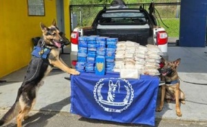 SENAD detuvo a líderes de una organización criminal que operaba en el narcotráfico entre Paraguay y Brasil