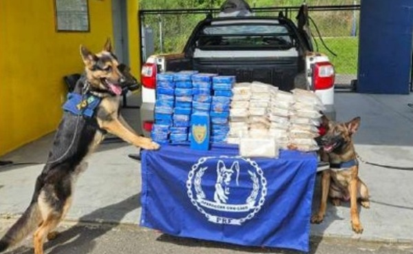 SENAD detuvo a líderes de una organización criminal que operaba en el narcotráfico entre Paraguay y Brasil