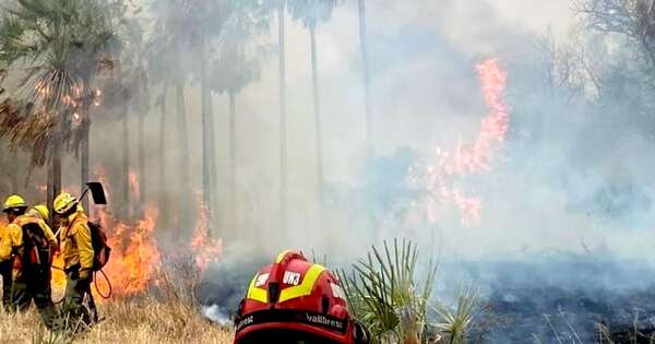 La Nación / Ejecutivo reglamentó ley que crea el Sistema de Monitoreo de Incendios Forestales