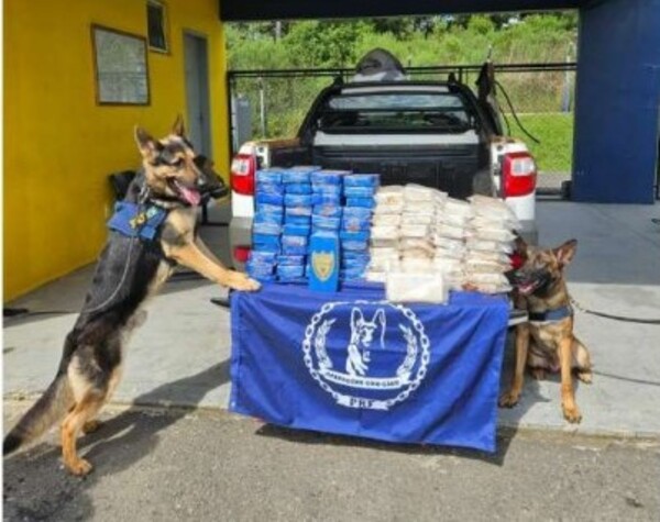 Detienen a líderes de organización criminal que operaba en el narcotráfico entre Paraguay y Brasil