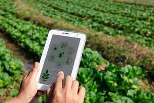 Agricultura de precisión: uso de drones y análisis de datos en el campo - Tecnología - ABC Color