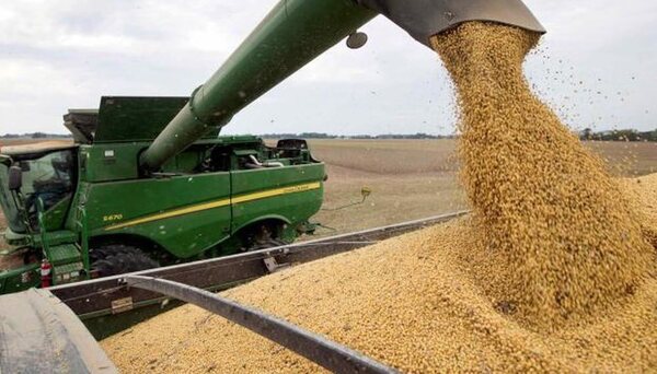 Exportaci贸n r茅cord de soja genera US$ 3.073 millones al d茅cimo mes del a帽o