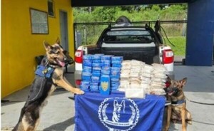 Detienen a implicados en esquema de tráfico internacional de drogas