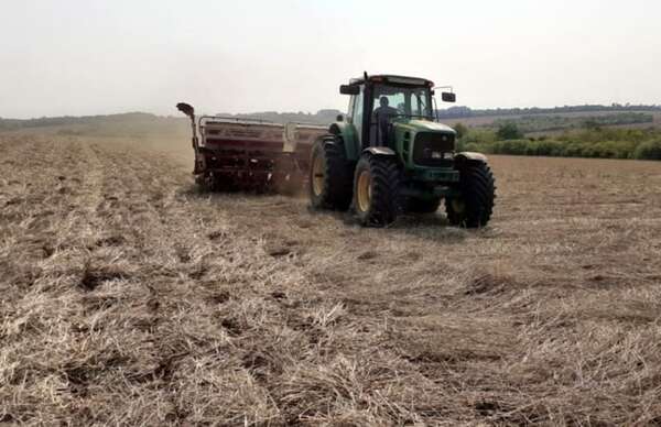 Alertan que La Niña aún puede instalarse este fin de año y complicar la campaña agrícola - Economía - ABC Color