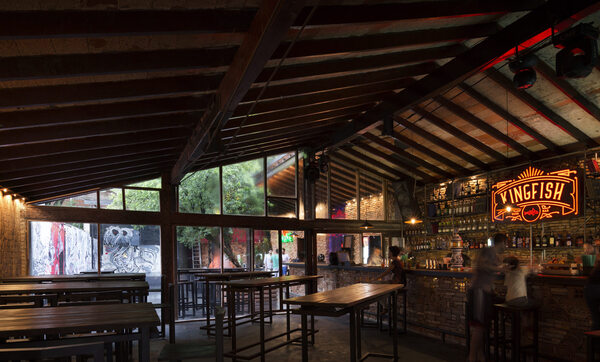 Municipalidad clausura el bar Kingfish por problemas de salubridad - 1000 Noticias