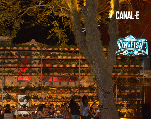 CLAUSURAN BAR “CHUCHI” POR INSALUBRIDAD