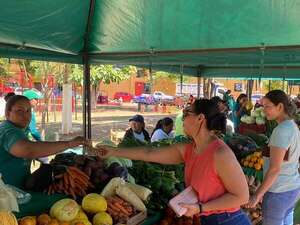 Concepción: feria de productores sigue siendo el principal ingreso económico de familias campesinas - Nacionales - ABC Color