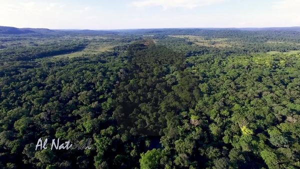 Al Natural: El caleidoscopio de la naturaleza - SNT