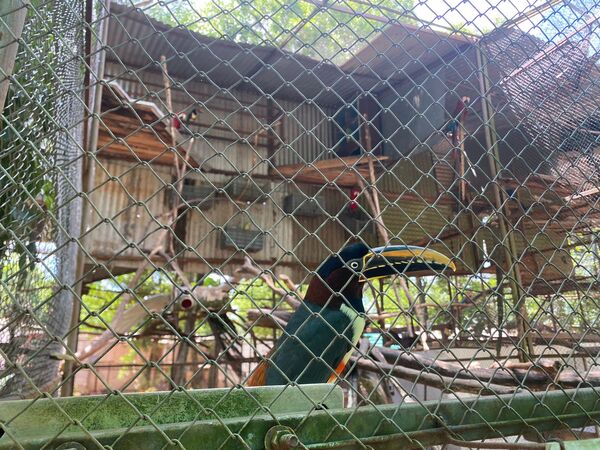 Minizoológico de Encarnación es una opción para el turismo familiar