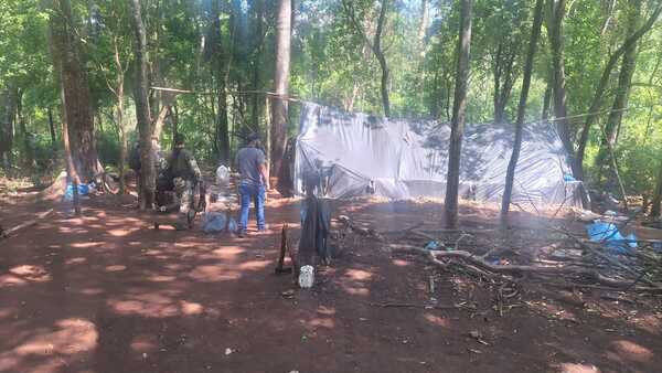 Desmantelan campamento y erradican al menos 21.000 kilos de marihuana en Amambay - 1000 Noticias