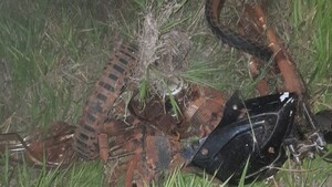 Joven motociclista muere tras chocar contra un auto en Hernandarias