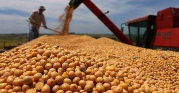EXPORTACIÓN RÉCORD DE SOJA GENERA USD 3.073 MILLONES, A OCTUBRE - Itapúa Noticias